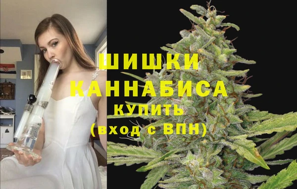 2c-b Армянск