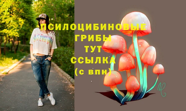 2c-b Армянск