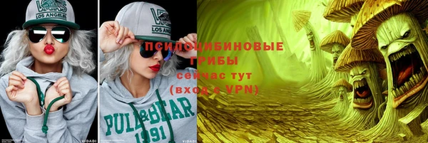 дживик Арсеньев